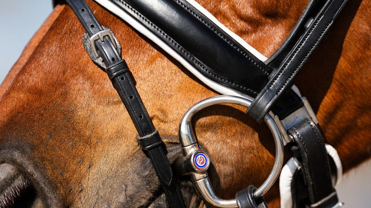 Wat is het verschil tussen een tongboog, enkelgebroken en dubbelgebroken bit