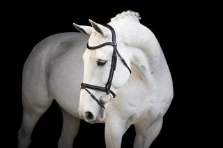 LJ Leathers bridle flash noseband Classic Touch Black