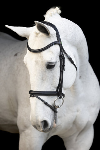 LJ Leathers bridle flash noseband Classic Touch Black