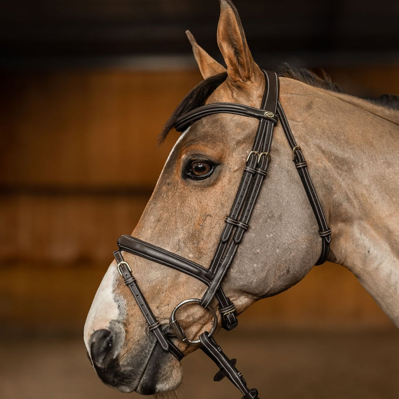 HFI Hoofdstel Flex Bruin