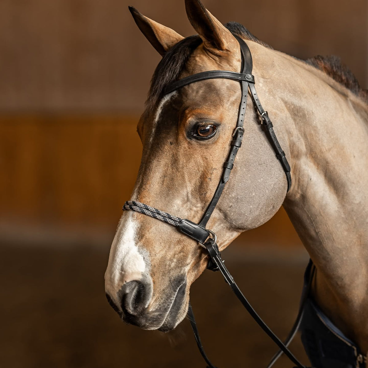 HFI Freedom bitless bridle