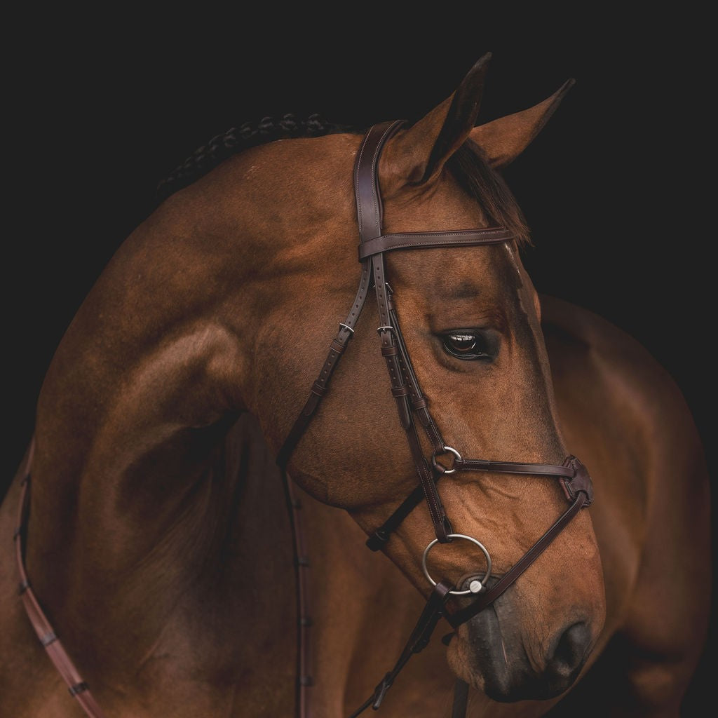 Equiline Hoofdstel Classic mexicaanse neusriem Bruin Full