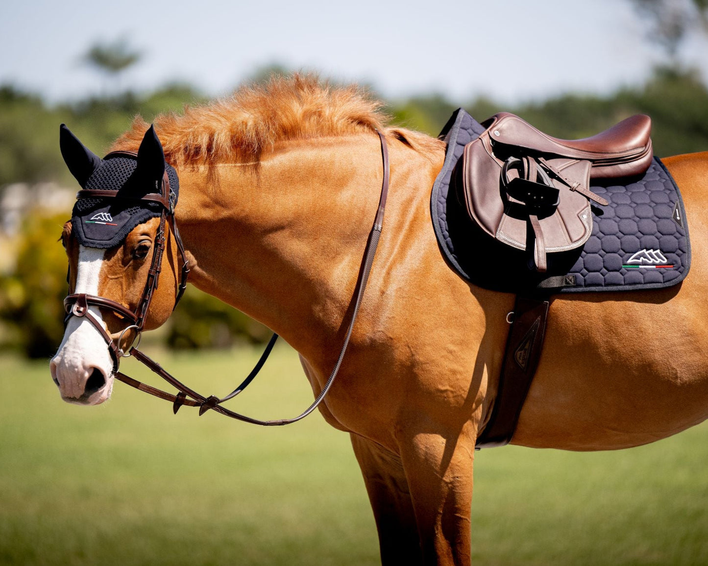 Equiline Set Saddle Pad and Fly hat Eqflaggy Navy