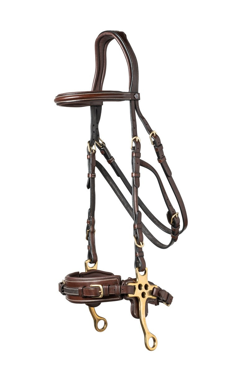 TRUST bridle Hickstead Hackamore bridle gold buckles Brown