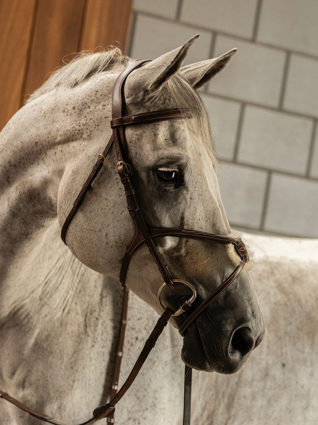 TRUST hoofdstel Oslo mexicaanse neusriem gouden gespen Bruin