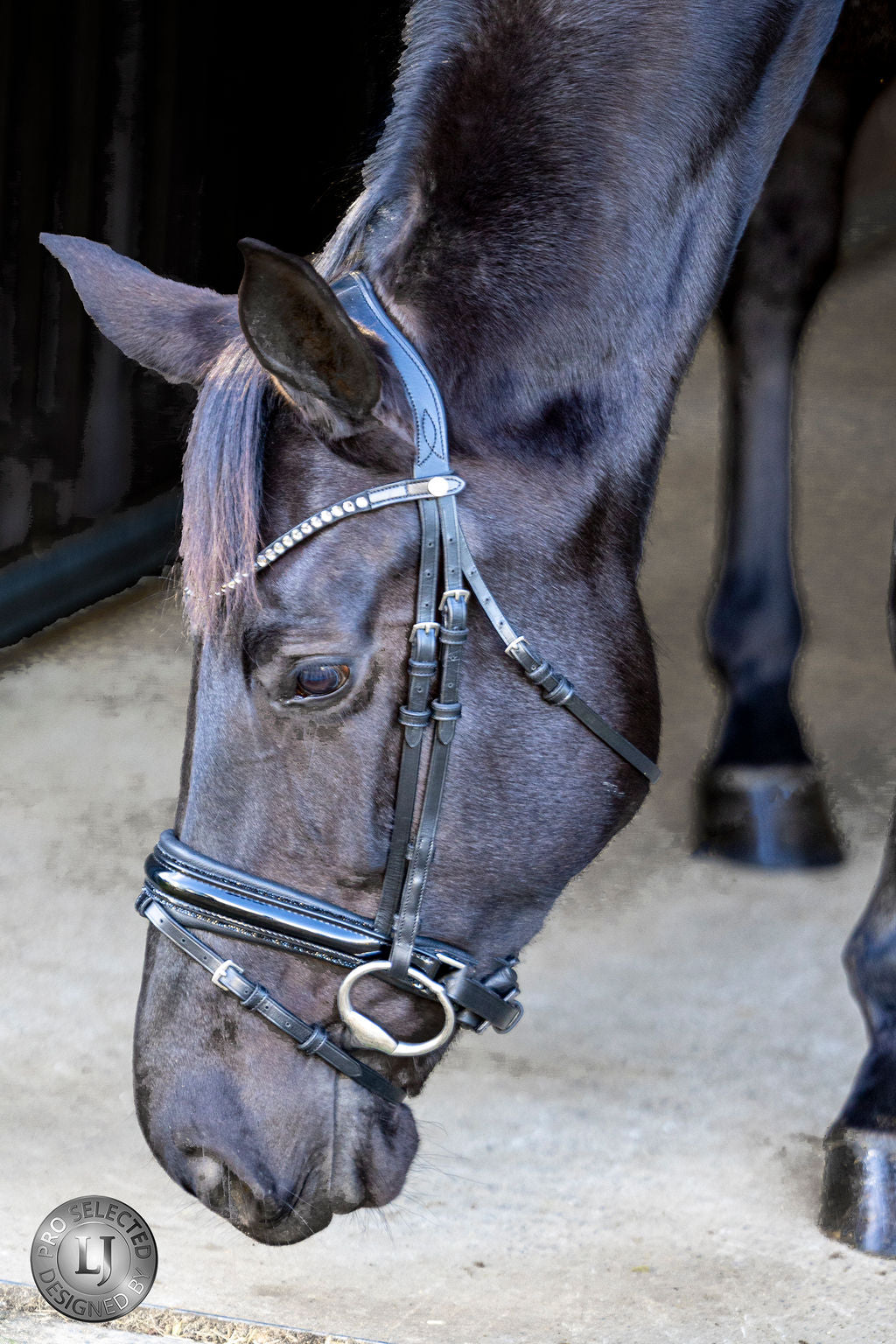 LJ Leathers Bridle Pro Selected Noseband with Patent Leather Sunline Black