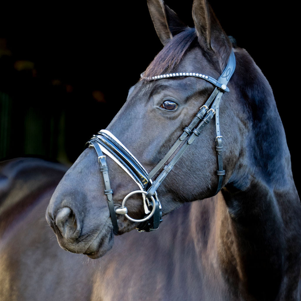 LJ Leathers Hoofdstel Pro Selected aansnoerneusriem met lak Sunline Zwart Zwart-Wit onderlegd