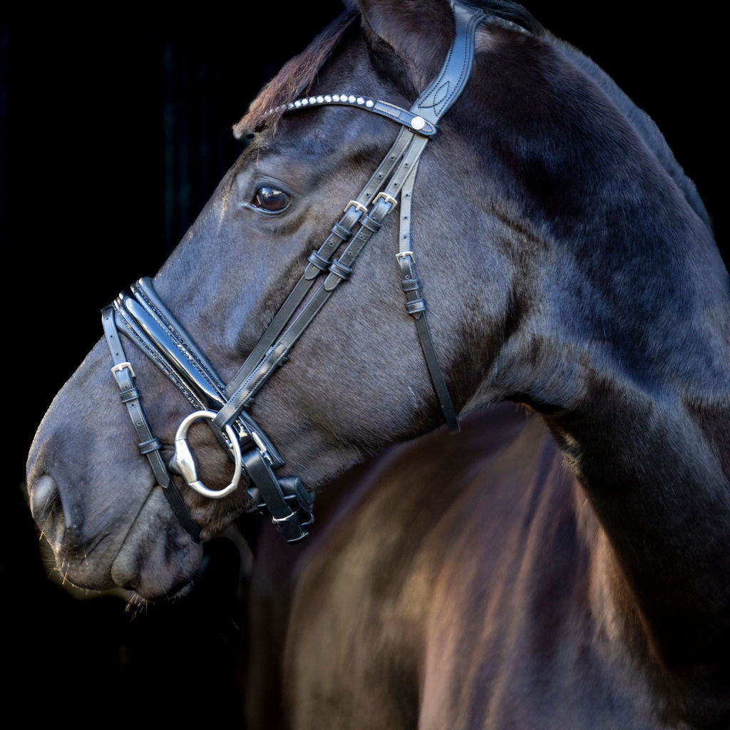 LJ Leathers Hoofdstel Pro Selected aansnoerneusriem met lak Sunline Zwart Zwart-Zwart onderlegd