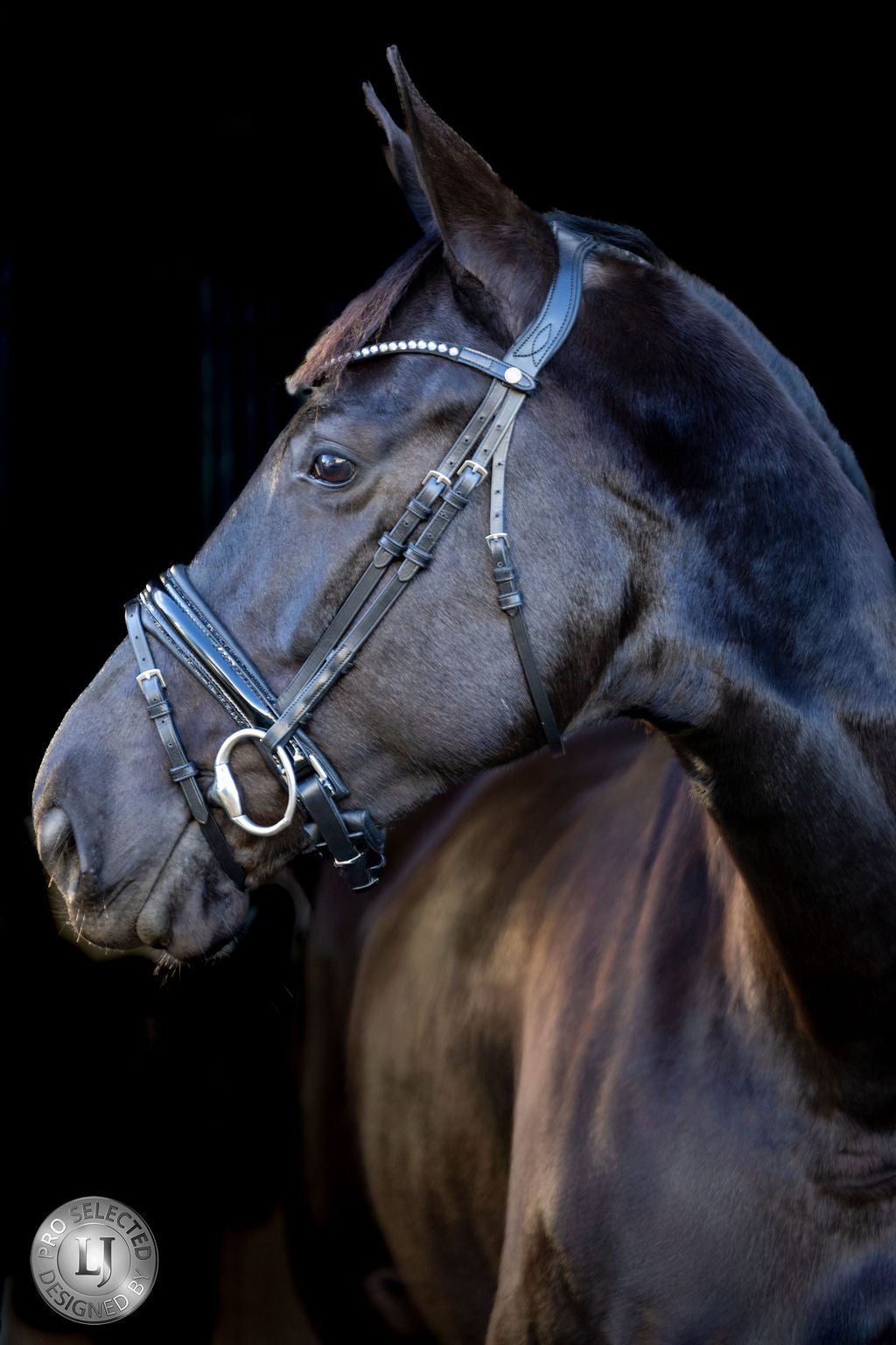 LJ Leathers Bridle Pro Selected Noseband with Patent Leather Sunline Black