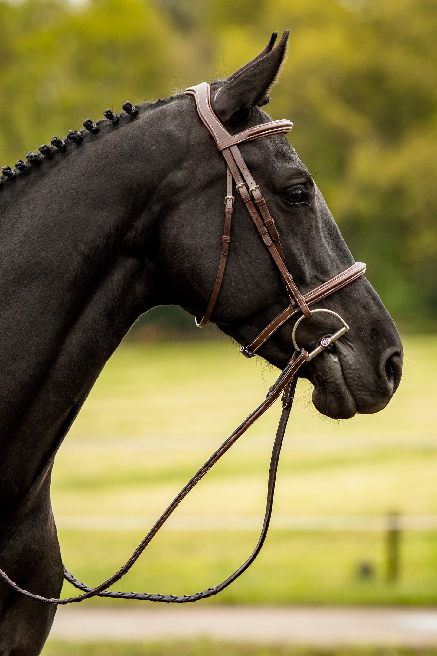 TRUST bridle Hunter Kentucky silver buckle Brown