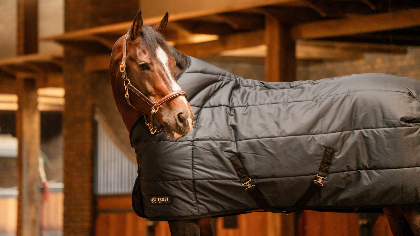 Trust TETRIS stable rug 200 g Navy
