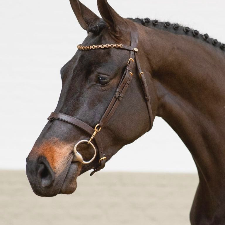 Equilook Hoofdstel Professional gecombineerde neusriem Bruin