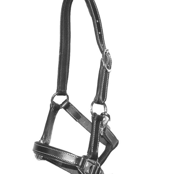 LJ Leathers lederen veulenhalster Zwart < 6 mnd Zwart