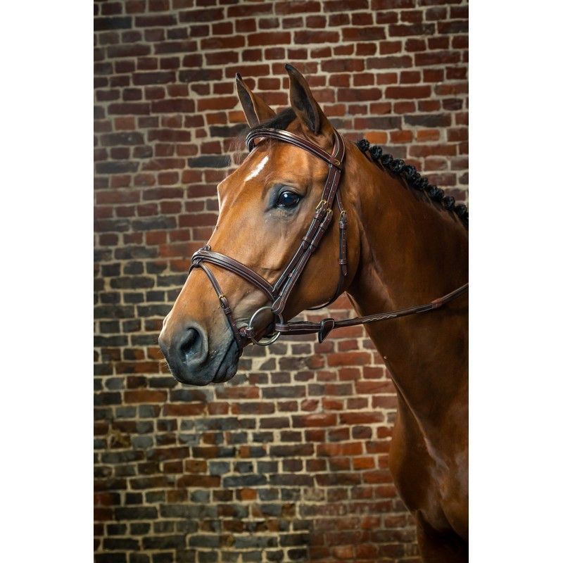 Dyon D Collection Flash Noseband Bridle Brown