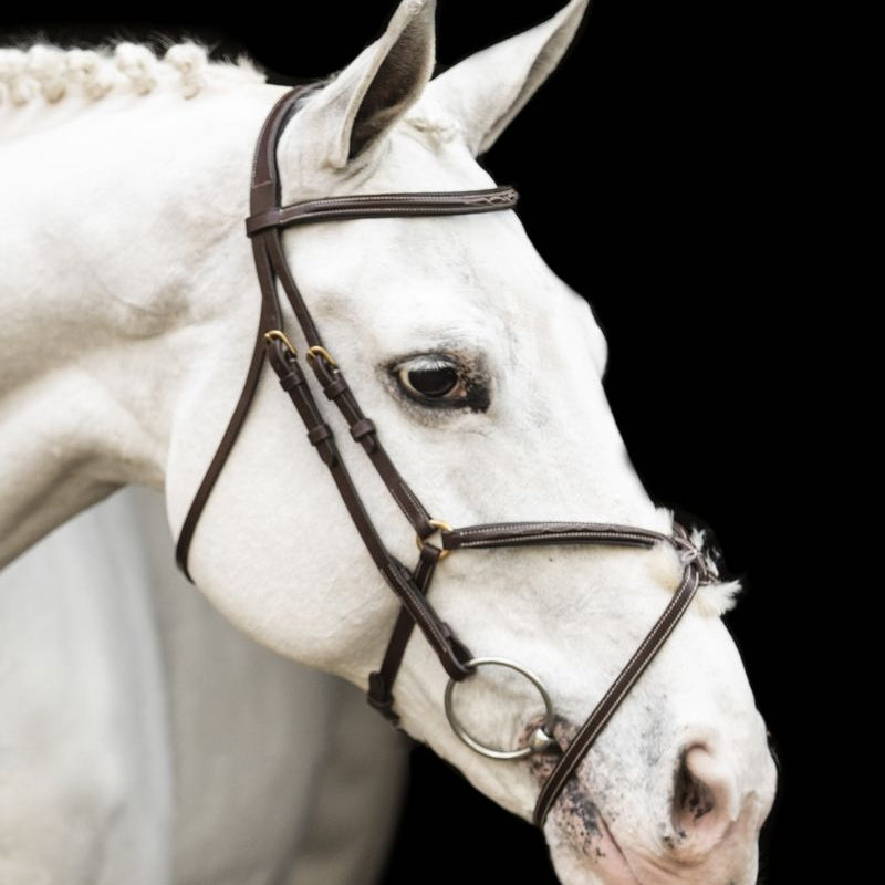 LJ Leathers New Pro hoofdstel mexicaanse neusriem Bruin Goud kleurig