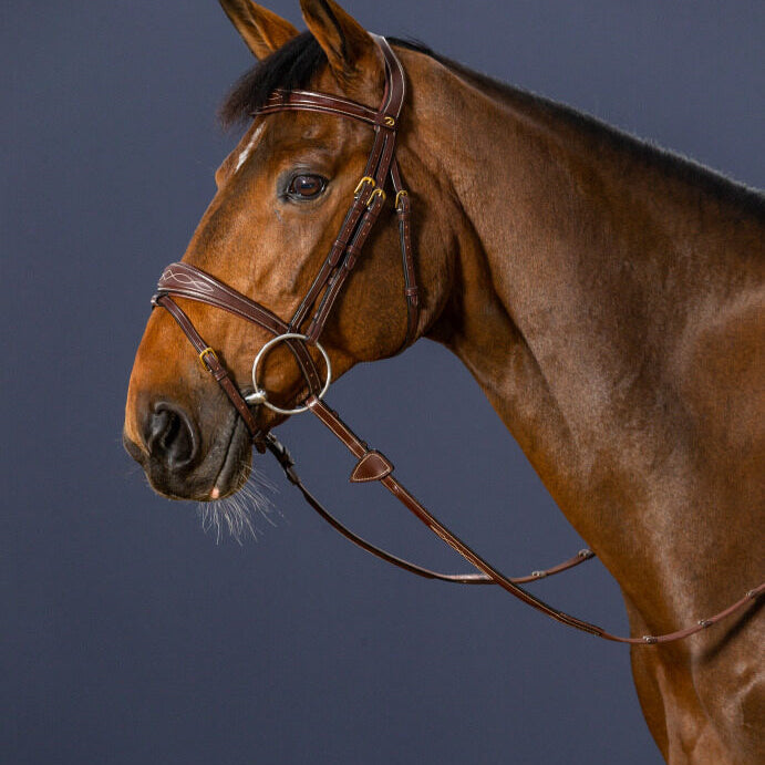 Dyon D Collection anatomisch hoofdstel gecombineerde neusriem bruin Bruin Full