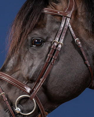 Dyon US Jumping Flash Noseband Bridle Brown