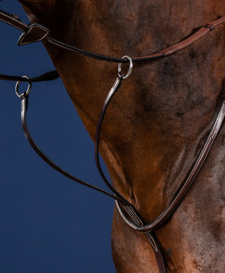 Dyon US Collection Running Martingale Brown