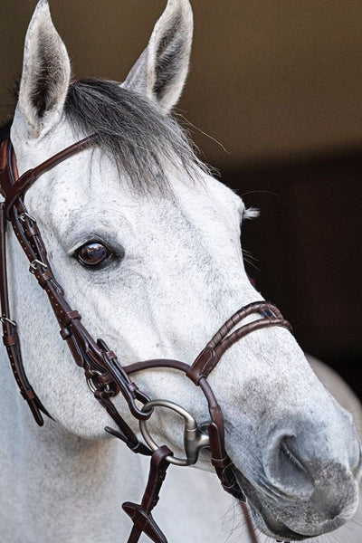 Bridles & reins