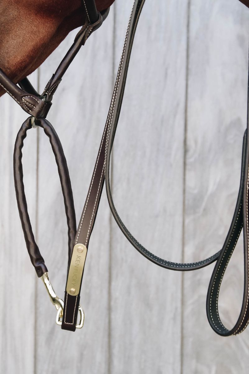 Halstertouwen & lijnen