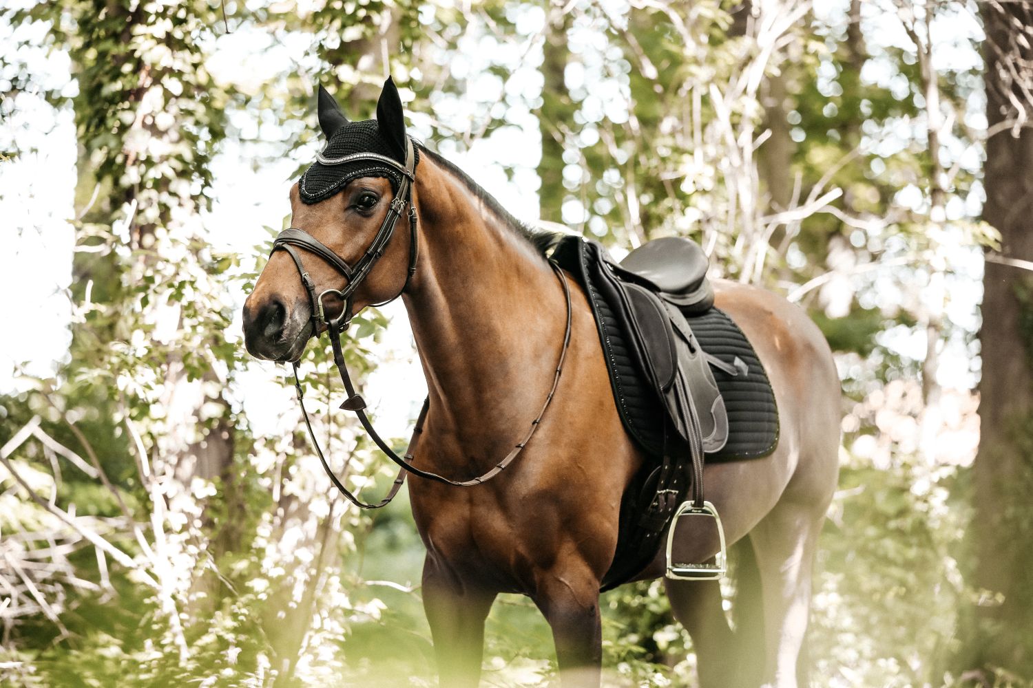 Kentucky Horsewear Zadeldekje Pearls Dressuur Zwart full