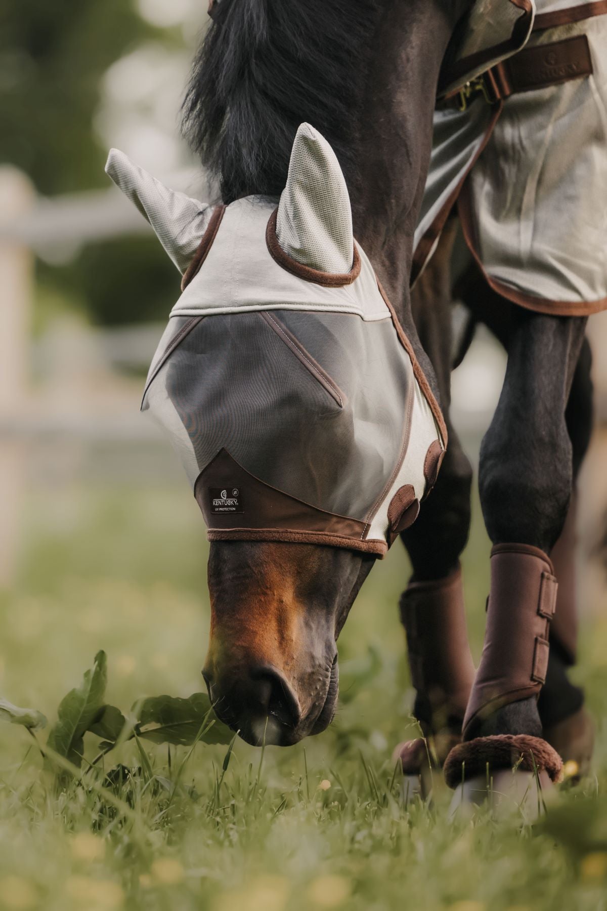 Kentucky Horsewear fly mask Classic with ears Silver