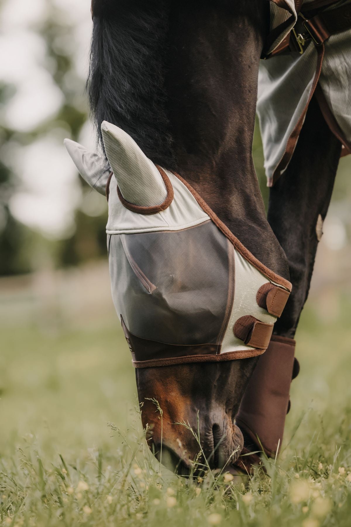 Kentucky Horsewear fly mask Classic with ears Silver