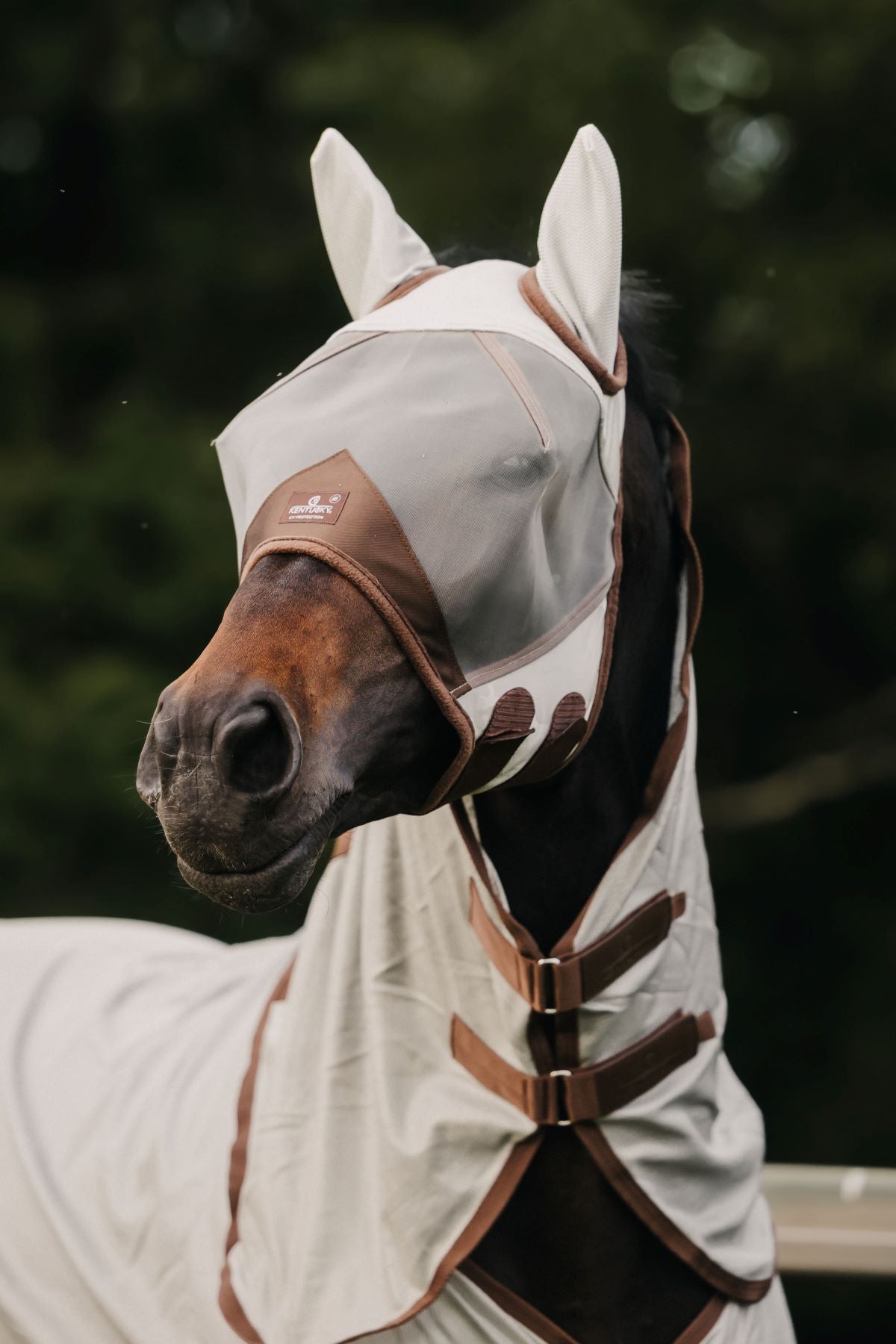 Kentucky Horsewear fly mask Classic with ears Silver