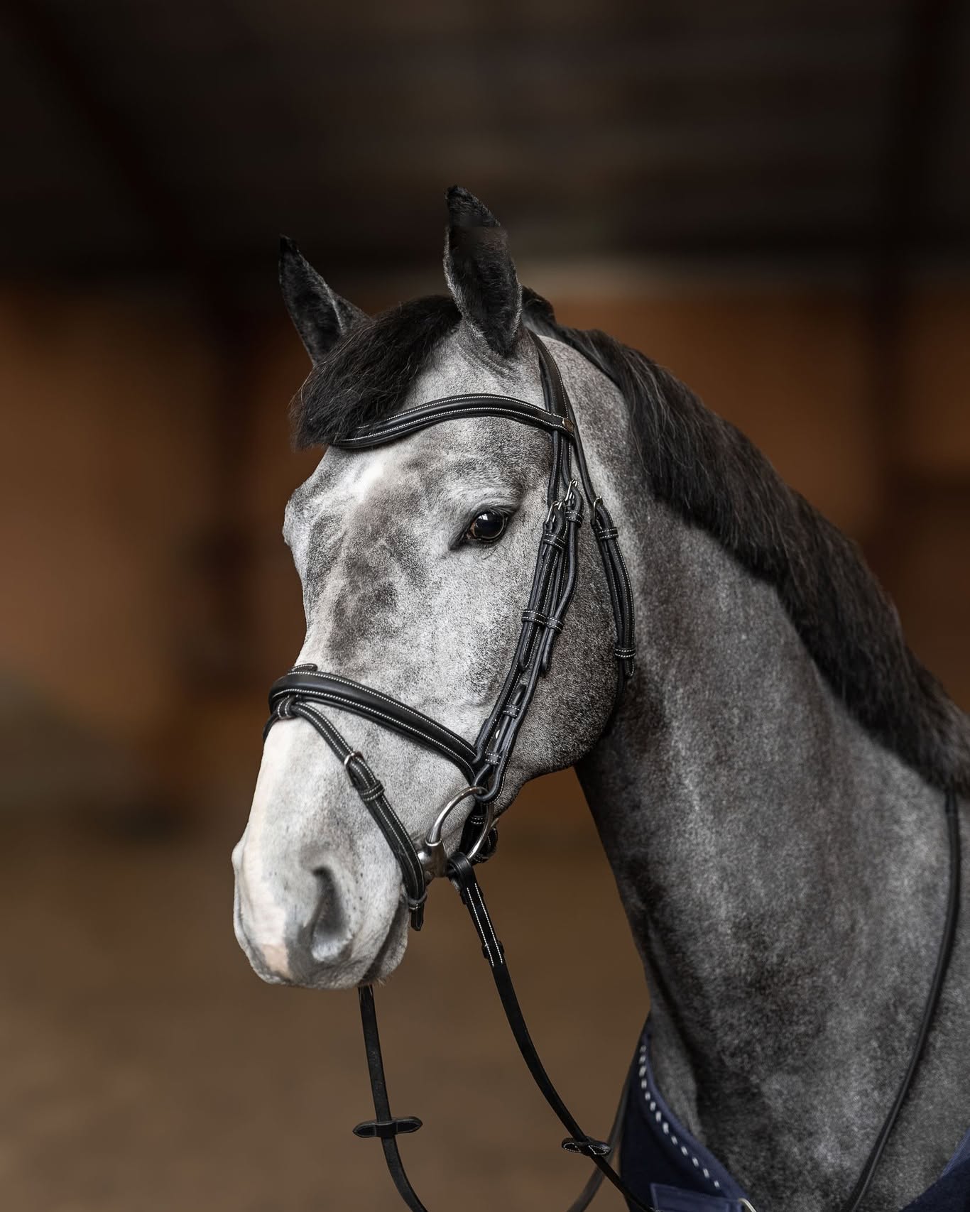 HFI Bridle Flex
