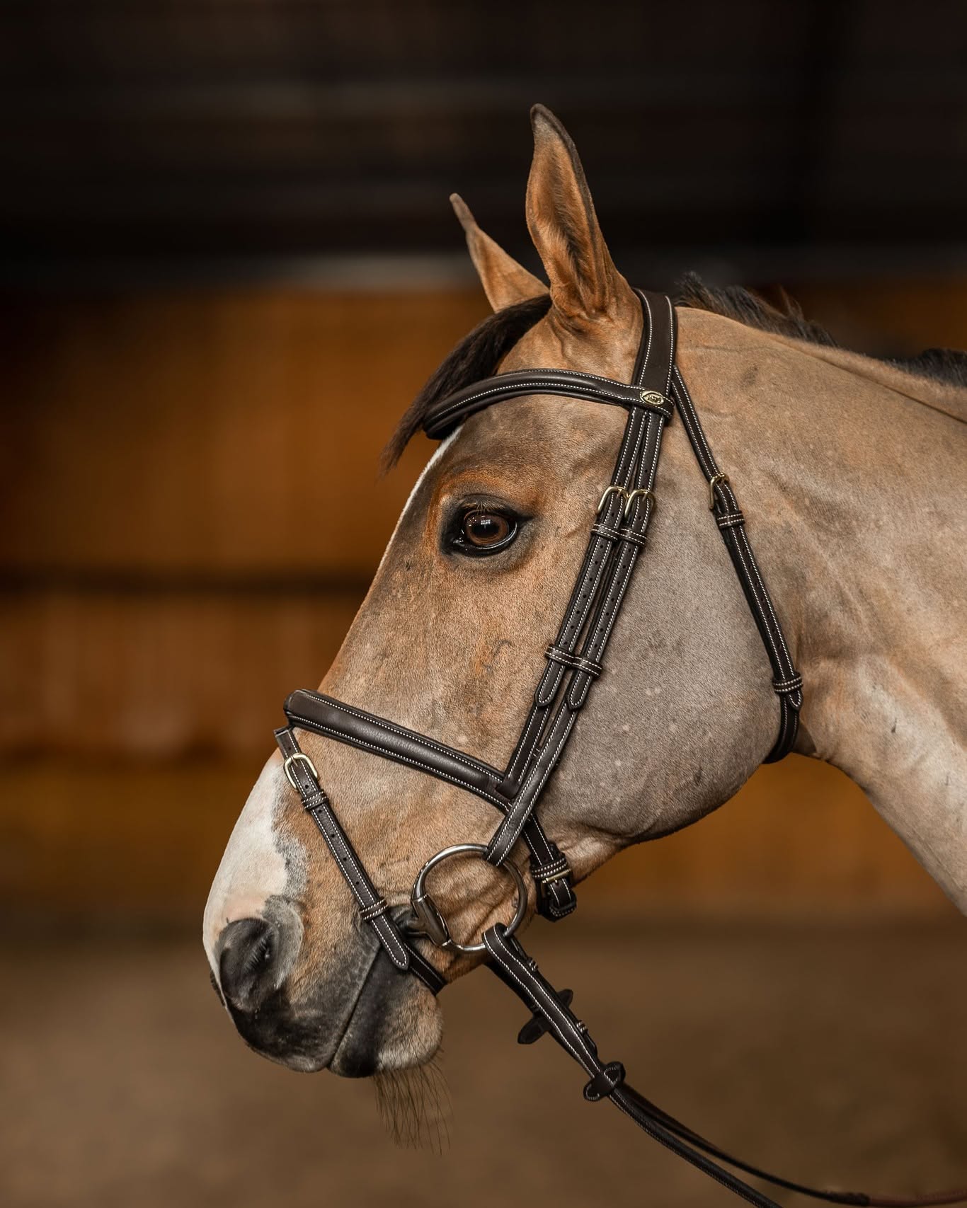 HFI Bridle Flex