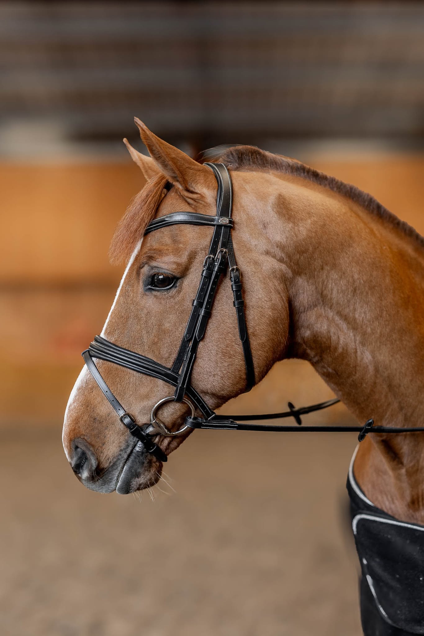 HFI Hoofdstel Padded Zwart