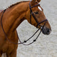 TRUST bridle Calgary combined noseband silver buckle Brown