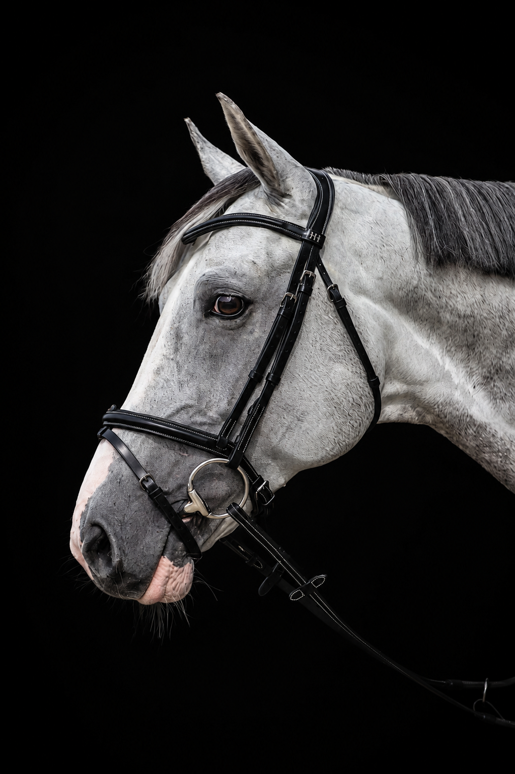 HFI Pro Line Bridle Merano