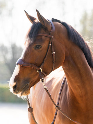 TRUST bridle Falsterbo T-Motion silver buckles Brown