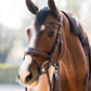 TRUST bridle Falsterbo T-Motion silver buckles Brown