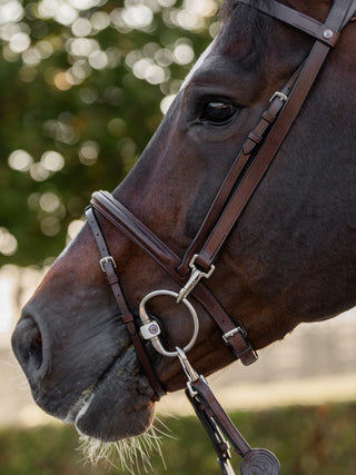 TRUST Training Bridle Hamburg Brown