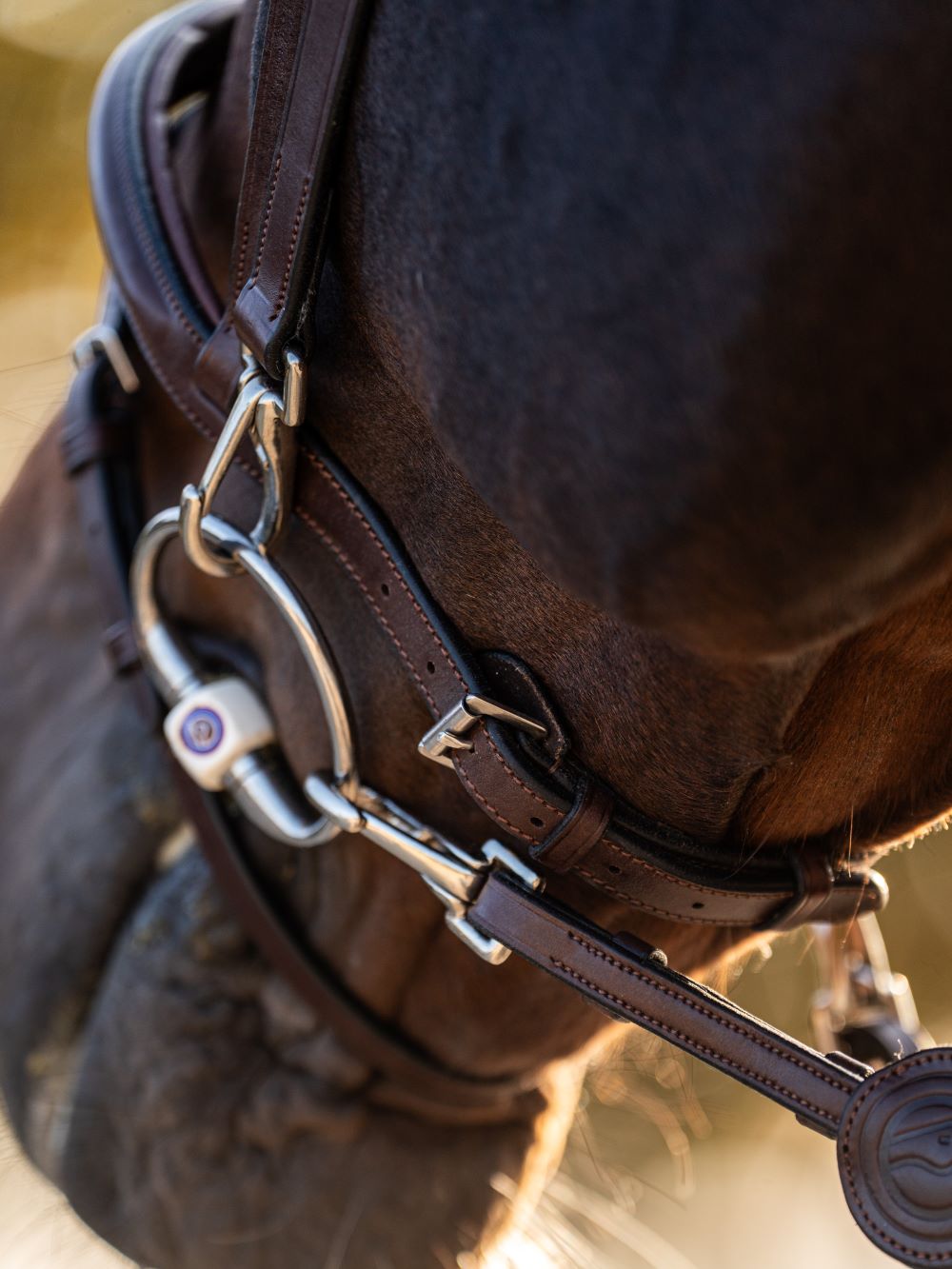 TRUST Training Bridle Hamburg Brown