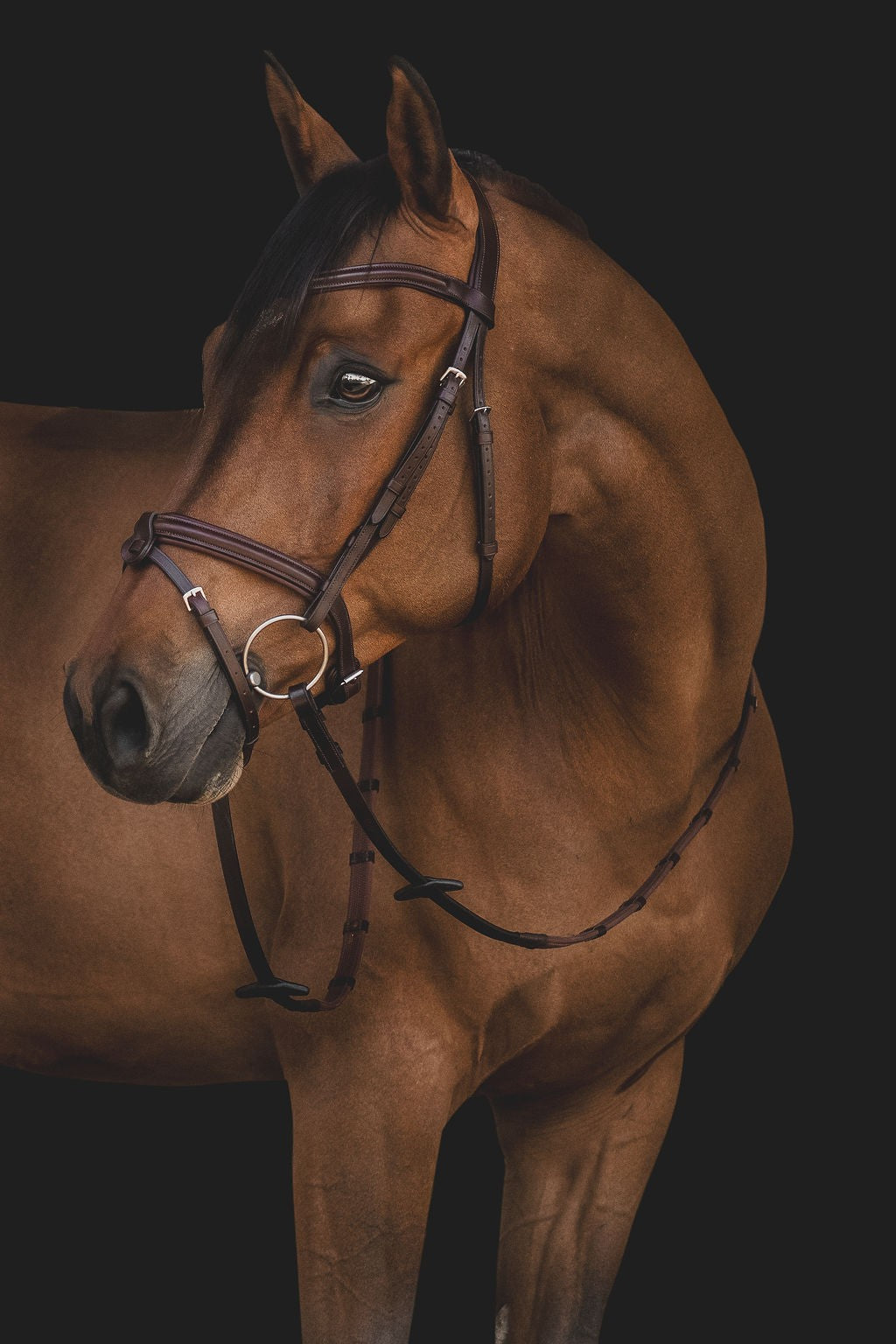 Equiline Hoofdstel Classic gecombineerde neusriem Bruin Full