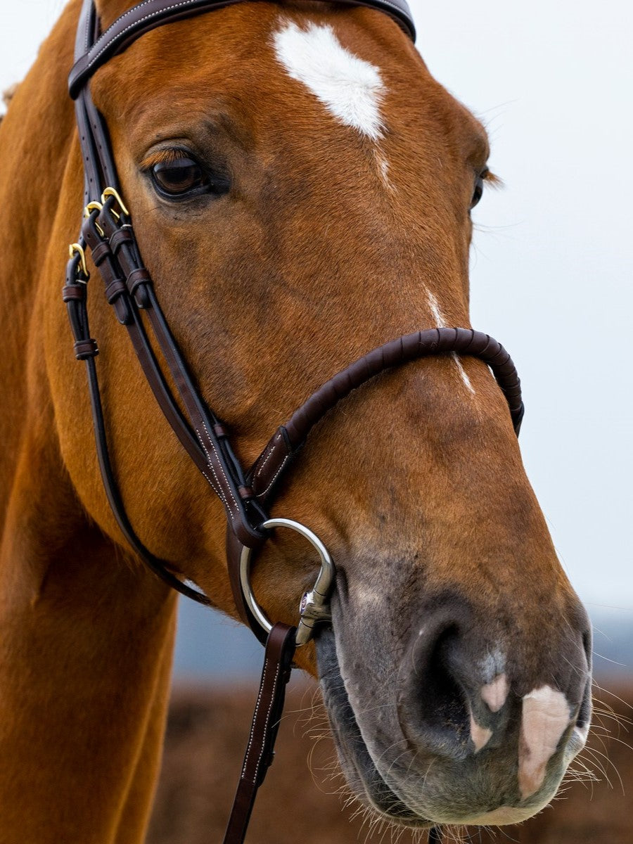 TRUST bridle Dublin leather covered rope noseband gold buckle Brown