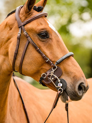 TRUST bridle Hickstead Hackamore bridle silver buckles Brown