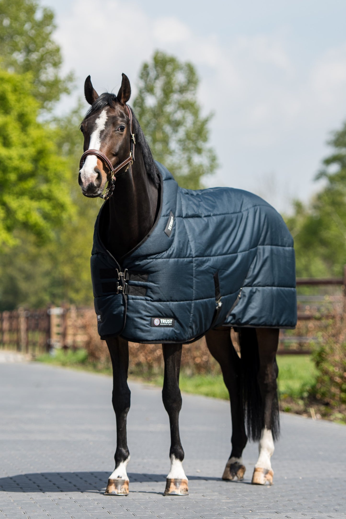 Trust TETRIS stable rug 200 g Navy