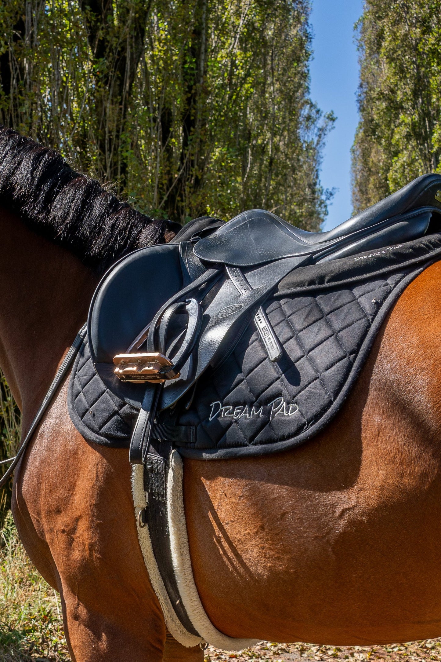 Dreampad saddle pad jumping black gift