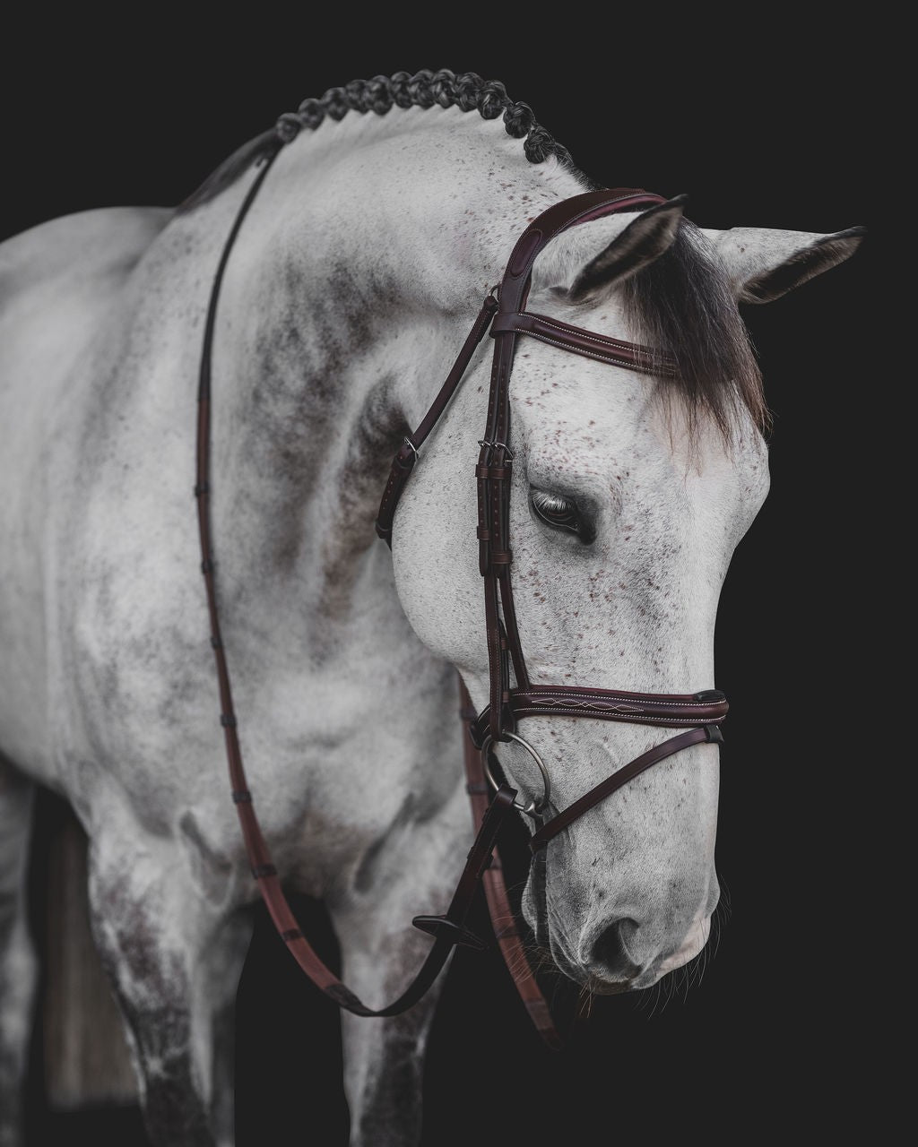 Equiline Hoofdstel Anatomisch gecombineerde neusriem Bruin Full