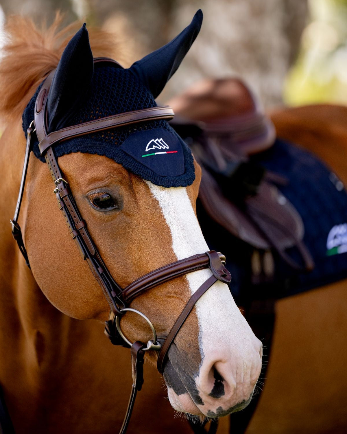 Equiline Set Saddle Pad and Fly hat Eqflaggy Navy