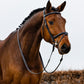 TRUST bridle Geneva combined noseband silver buckle Black