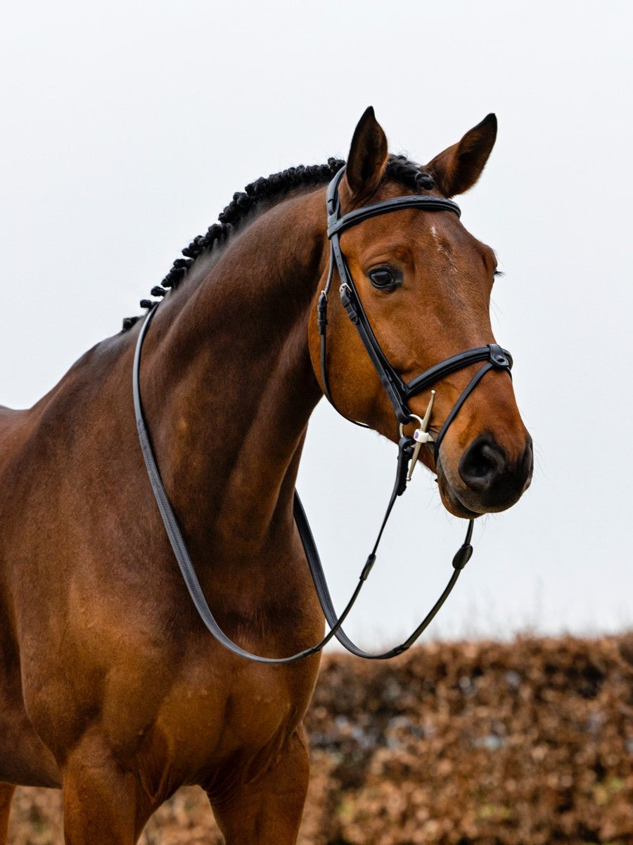 TRUST hoofdstel Geneva gecombineerde neusriem zilveren gesp Zwart