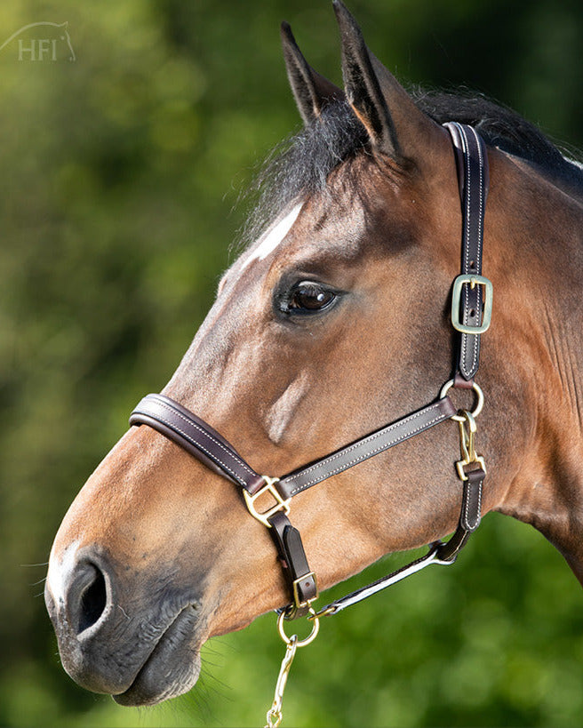 HFI Leather Halter Simple
