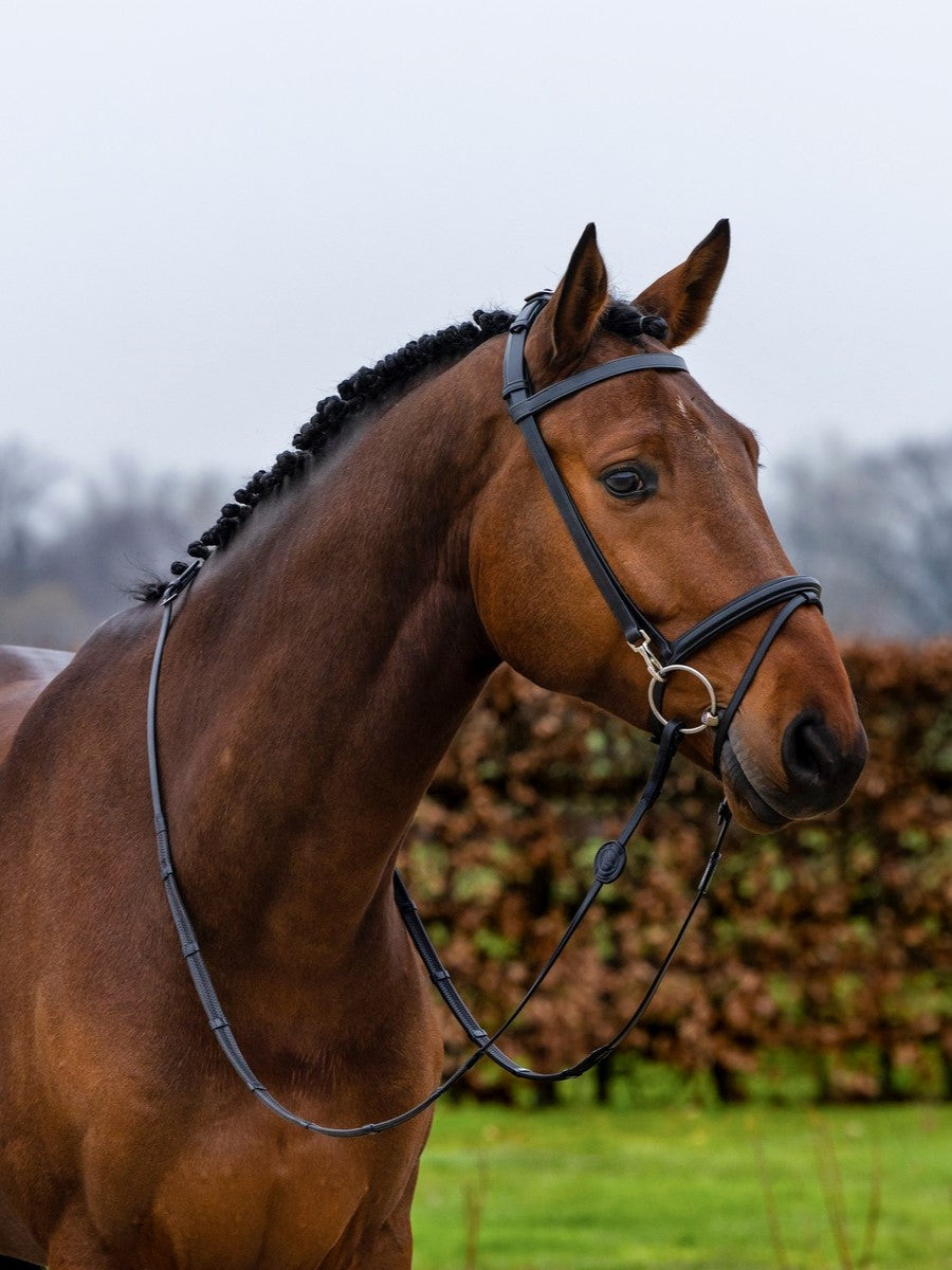 TRUST Training Bridle Hamburg Black