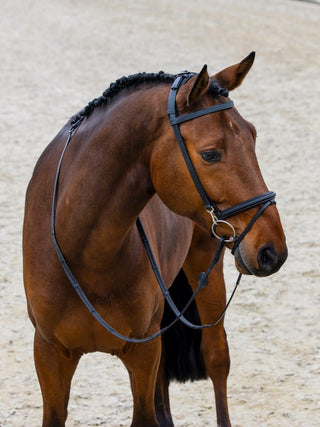 TRUST Training Bridle Hamburg Black