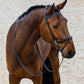 TRUST Training Bridle Hamburg Black